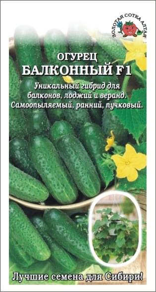 Огурец балконный f1 /сотка/, цены.